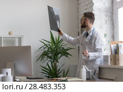 Closeup portrait of intellectual man healthcare personnel with white labcoat, looking at brain x-ray radiographic image, ct scan, mri, clinic office background. Radiology department. Стоковое фото, агентство Ingram Publishing / Фотобанк Лори