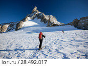 A group of backcountry skiers walks up to the Dent du Géant, Mont Blanc massif, Chamonix, west Alps, France, Europe. Стоковое фото, агентство Ingram Publishing / Фотобанк Лори