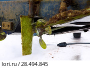 Boat stern hull and propeller pressure water cleaning on beached ship. Стоковое фото, фотограф Tono Balaguer / Ingram Publishing / Фотобанк Лори