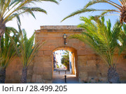 Tabarca island in Alicante Valencian Community of Spain. Стоковое фото, фотограф Tono Balaguer / Ingram Publishing / Фотобанк Лори