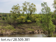 Река Выша (Пензенская область, Земетченский район) Стоковое фото, фотограф Владимир Федечкин / Фотобанк Лори