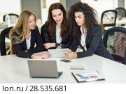 Three businesswomen working together in a modern office with white furniture. Teamwork concept. Caucasian, blonde, and muslim girls wearing suit. Multi-ethnic group of women. Стоковое фото, фотограф Javier Sánchez Mingorance / Ingram Publishing / Фотобанк Лори