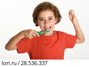 Happy little girl showing her first fallen tooth. Smiling little woman with a incisor in her hand brushing her teeth with a toothbrush isolates on white background. Studio shot. Стоковое фото, фотограф Javier Sánchez Mingorance / Ingram Publishing / Фотобанк Лори