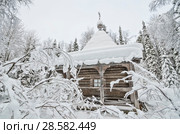 Урочище Куртяево. Архангельская область (2016 год). Стоковое фото, фотограф Яковлев Сергей / Фотобанк Лори