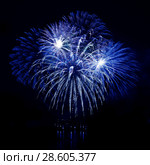 Celebratory firework in a night sky. Стоковое фото, фотограф ElenArt / Фотобанк Лори
