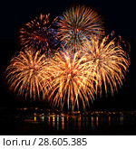 Celebratory firework in a night sky. Стоковое фото, фотограф ElenArt / Фотобанк Лори