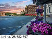 Цветы у Исаакиевского собора Lilac flowers near St. Isaac's Cathedral (2018 год). Стоковое фото, фотограф Baturina Yuliya / Фотобанк Лори