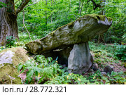 Краснодарский край, Туапсинский район, дольмен недалеко от аула Малое Псеушхо (2018 год). Стоковое фото, фотограф glokaya_kuzdra / Фотобанк Лори
