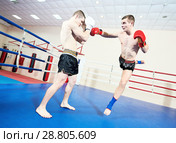 Muay thai sportsman fighting at boxing ring. Стоковое фото, фотограф Дмитрий Калиновский / Фотобанк Лори