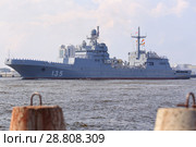 Большой десантный корабль "Иван Грен" в акватории Кронштадта (2018 год). Редакционное фото, фотограф Роман Рожков / Фотобанк Лори