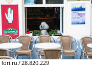 Собака с достоинством и интересом смотрит в окно из café blaummoezel. Антверпен. Бельгия (2018 год). Редакционное фото, фотограф Сергей Афанасьев / Фотобанк Лори