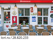 Собака с достоинством смотрит в окно из café blaummoezel. Антверпен. Бельгия (2018 год). Редакционное фото, фотограф Сергей Афанасьев / Фотобанк Лори