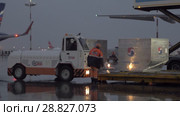 Loading Korean Air cargo containers on transporter at Sheremetyevo, Moscow (2017 год). Редакционное видео, видеограф Данил Руденко / Фотобанк Лори