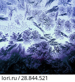 Frosty pattern on winter window. Стоковое фото, фотограф ElenArt / Фотобанк Лори