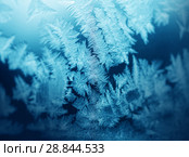 Frosty pattern on winter window. Стоковое фото, фотограф ElenArt / Фотобанк Лори