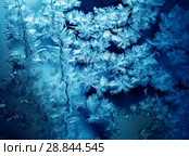 Frosty pattern on winter window. Стоковое фото, фотограф ElenArt / Фотобанк Лори