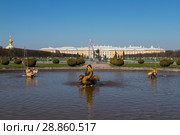 Россия. Петергоф. Верхний сад. Фонтан "Межеумный" (2018 год). Редакционное фото, фотограф Литвяк Игорь / Фотобанк Лори