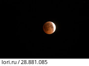 Полное лунное затмение 28 июля 2018 года. Total Lunar Eclipse on July 27–28, 2018. Стоковое фото, фотограф Евгений Романов / Фотобанк Лори