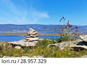 Lake Baikal in a summer sunny day. A traditional pyramid of stones on the high hill of the island of Olkhon. Crimson inflorescence of the plants of Great burnet or Sanguisorba officinalis against the background of the Small Sea Strait. Стоковое фото, фотограф Виктория Катьянова / Фотобанк Лори