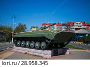 Лиски. Афганская аллея (2018 год). Редакционное фото, фотограф Литвяк Игорь / Фотобанк Лори