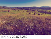 Illustration of scenic Karpaty mountains in Maramures (2017 год). Стоковое фото, фотограф Яков Филимонов / Фотобанк Лори