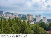 Вид на Сочи со смотровой площадки дендрария (2018 год). Стоковое фото, фотограф Ирина Носова / Фотобанк Лори