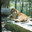 Tiger at the zoo. Стоковое фото, фотограф Типляшина Евгения / Фотобанк Лори