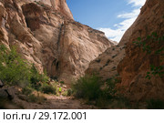 A teenager in a yellow shirt goes along the path between the red rocks. Capitol Reef National Park, Utah, USA (2014 год). Стоковое фото, фотограф Ирина Кожемякина / Фотобанк Лори