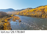 Siberian river Utulik, flowing into Lake Baikal on a sunny autumn day. Стоковое фото, фотограф Виктория Катьянова / Фотобанк Лори