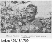Мирали Рахманов, бригадир хлопководческого совхоза "Семеновод". Таджикская ССР. Стоковая иллюстрация, иллюстратор Макаров Алексей / Фотобанк Лори