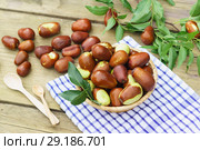 Плоды унаби (зизифус настоящий, китайский финик, чапыжник, жужуба, лат. Ziziphus jujuba) в плетеной корзинке на деревянном столе. Стоковое фото, фотограф Наталья Гармашева / Фотобанк Лори
