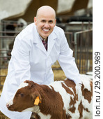 Employee nursing cattle in cowhouse. Стоковое фото, фотограф Яков Филимонов / Фотобанк Лори