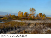 Утро на берегу осеннего озера. Стоковое фото, фотограф Игорь Камаев / Фотобанк Лори