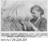 Заведующая колхозной лабораторией колхоза имени Крупской, Башкирской АССР А. Байбурина, добившаяся урожая проса в 48,3 центнера и яровой пшеницы 47,5 центнера с одного гектара. Стоковая иллюстрация, иллюстратор Макаров Алексей / Фотобанк Лори