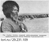 Товарищ Курбан Хаджи, старший чабан-стахановец племенного каракулеводческого совхоза "Равнина" Туркменской ССР. Стоковая иллюстрация, иллюстратор Макаров Алексей / Фотобанк Лори