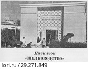 Павильон "Шелководство". Всесоюзная сельскохозяйственная выставка в Москве. 1939 год. Стоковая иллюстрация, иллюстратор Макаров Алексей / Фотобанк Лори