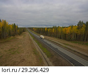 Асфальтовая дорога с белой разметкой через осенний лес. Осеннее путешествие на автомобиле. Стоковое фото, фотограф Яковлев Сергей / Фотобанк Лори