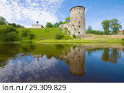 Sunny June day on the Pskova river. View of the Gremyachaya tower. Pskov, Russia (2018 год). Стоковое фото, фотограф Виктор Карасев / Фотобанк Лори