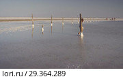 Slim sexy girl enjoying a sunset, gently walks on the water of a salt lake. Стоковое видео, видеограф Ирина Мойсеева / Фотобанк Лори