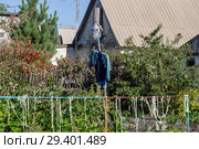 Пугало на даче. Стоковое фото, фотограф Инга Прасолова / Фотобанк Лори
