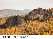 Красноярский заповедник Столбы. Скала Китайская стенка. Редакционное фото, фотограф Владимир Пойлов / Фотобанк Лори