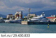 Sochi, Russia - June 2. 2018. Chayka, Shellest and others yacht in seaport. Редакционное фото, фотограф Володина Ольга / Фотобанк Лори