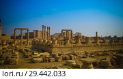 Panorama of Palmyra columns, ancient city destroyed by ISIS Syri (2011 год). Стоковое фото, фотограф Сергей Майоров / Фотобанк Лори