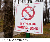 Знак "Курение запрещено" на фоне осеннего парка. Стоковое фото, фотограф Игорь Низов / Фотобанк Лори