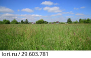 Beautiful meadow grass in Russia. Rural houses on horizon. Стоковое видео, видеограф Володина Ольга / Фотобанк Лори
