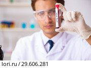The young handsome lab assistant testing blood samples in hospital. Стоковое фото, фотограф Elnur / Фотобанк Лори