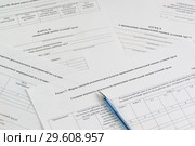 Формы для оформления результатов проведения специальной оценки условий труда и шариковая ручка. СОУТ. Стоковое фото, фотограф Наталья Гармашева / Фотобанк Лори