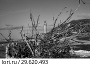 Мыс Слепиковского, остров Сахалин. Стоковое фото, фотограф Поволкович Федор / Фотобанк Лори