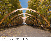 Sokolniki park, sunny autumn day wooden arch (2018 год). Редакционное фото, фотограф Фотограф / Фотобанк Лори