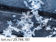 Fragment of snow texture Snowflakes close-up. crystal clear ice. macro photo. winter. shallow depth of field. Christmas background for layout. christmas theme. Стоковое фото, фотограф Евгений Бобков / Фотобанк Лори